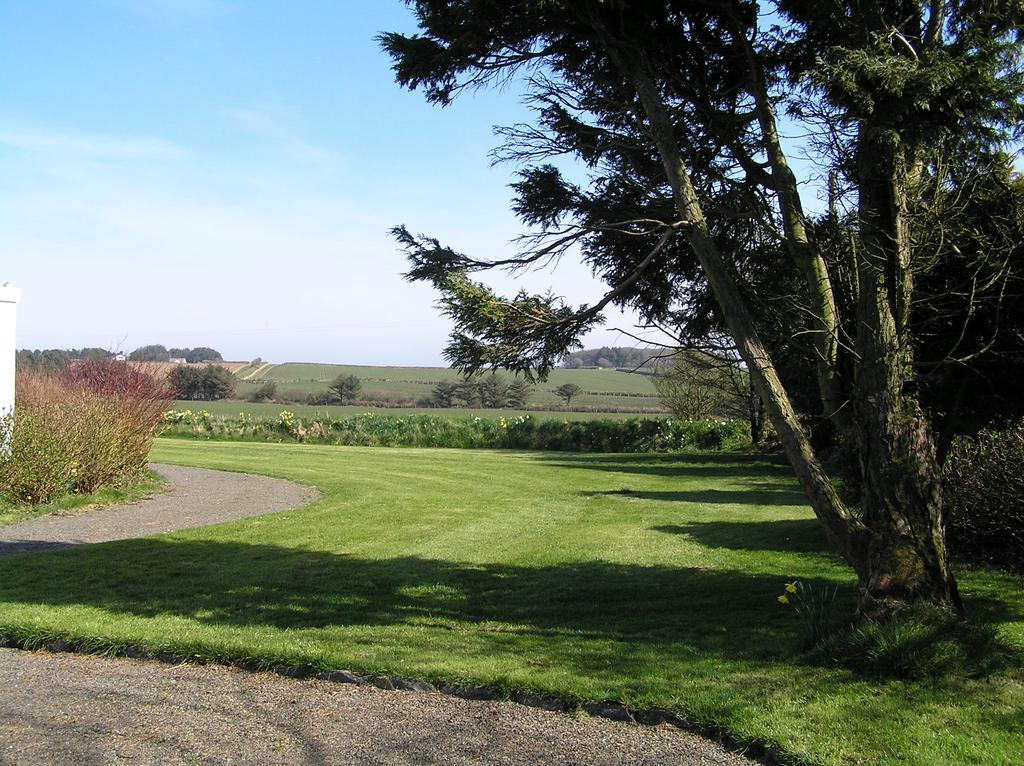 Greenfields Bed and Breakfast Clovelly Buitenkant foto