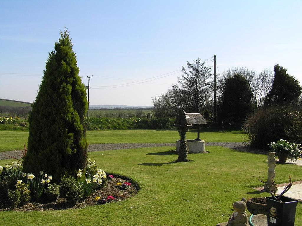 Greenfields Bed and Breakfast Clovelly Buitenkant foto